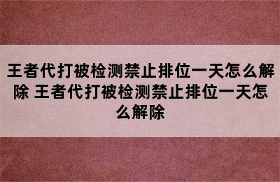 王者代打被检测禁止排位一天怎么解除 王者代打被检测禁止排位一天怎么解除